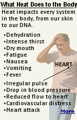 The body no longer can cool itself because perspiration can't evaporate from skin into humid air. Continued sweating eventually leads to dehydration. As heat stress builds, heat exhaustion could eventually lead to heat stroke, as the body's temperature climbs above 103 degrees, requiring immediate medical attention. Everyone is susceptible to heat exhaustion or heat stroke, but the elderly, infants and children are particularly vulnerable.